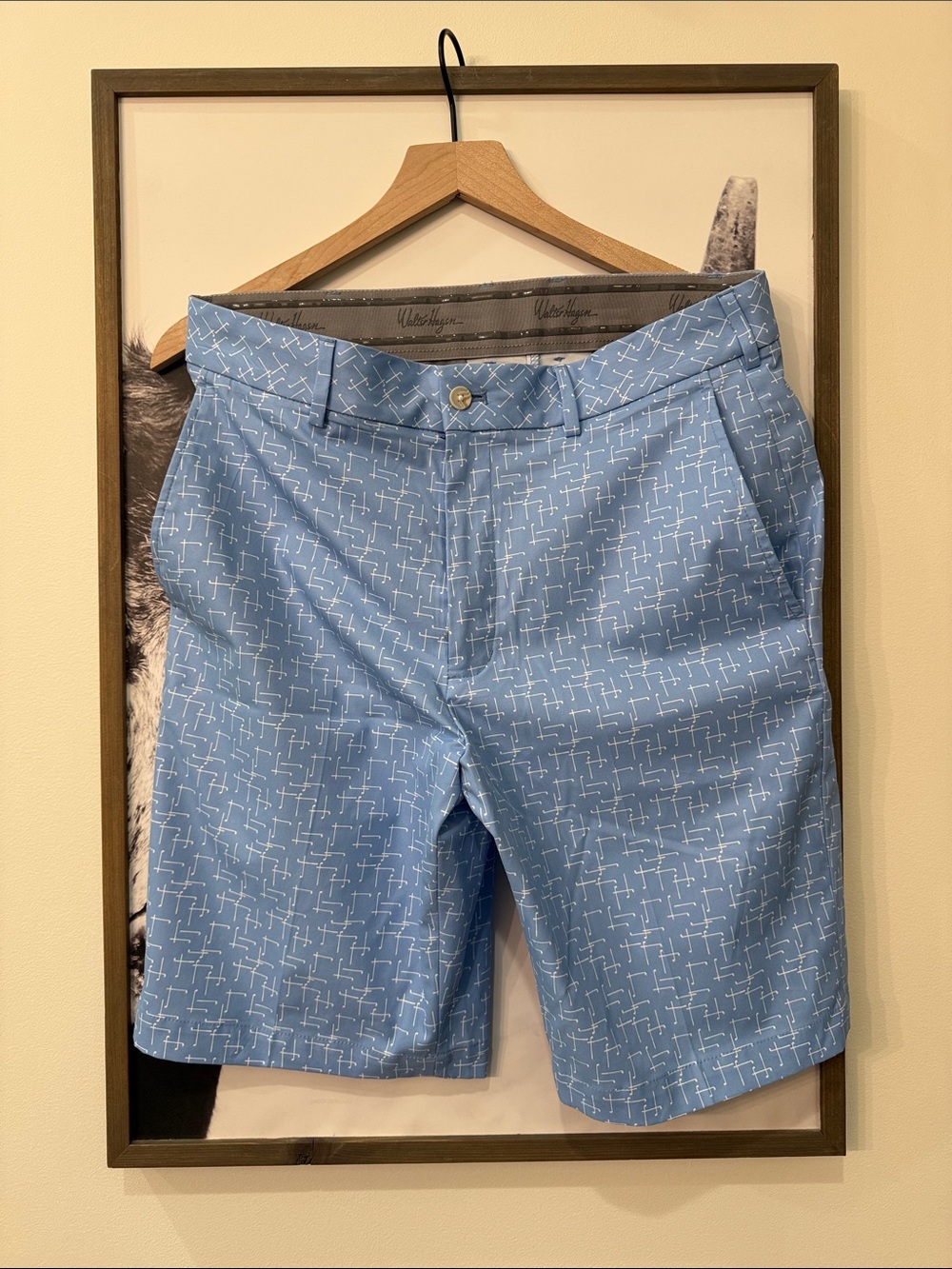 Walter Hagen Golf ⛳️ Shorts